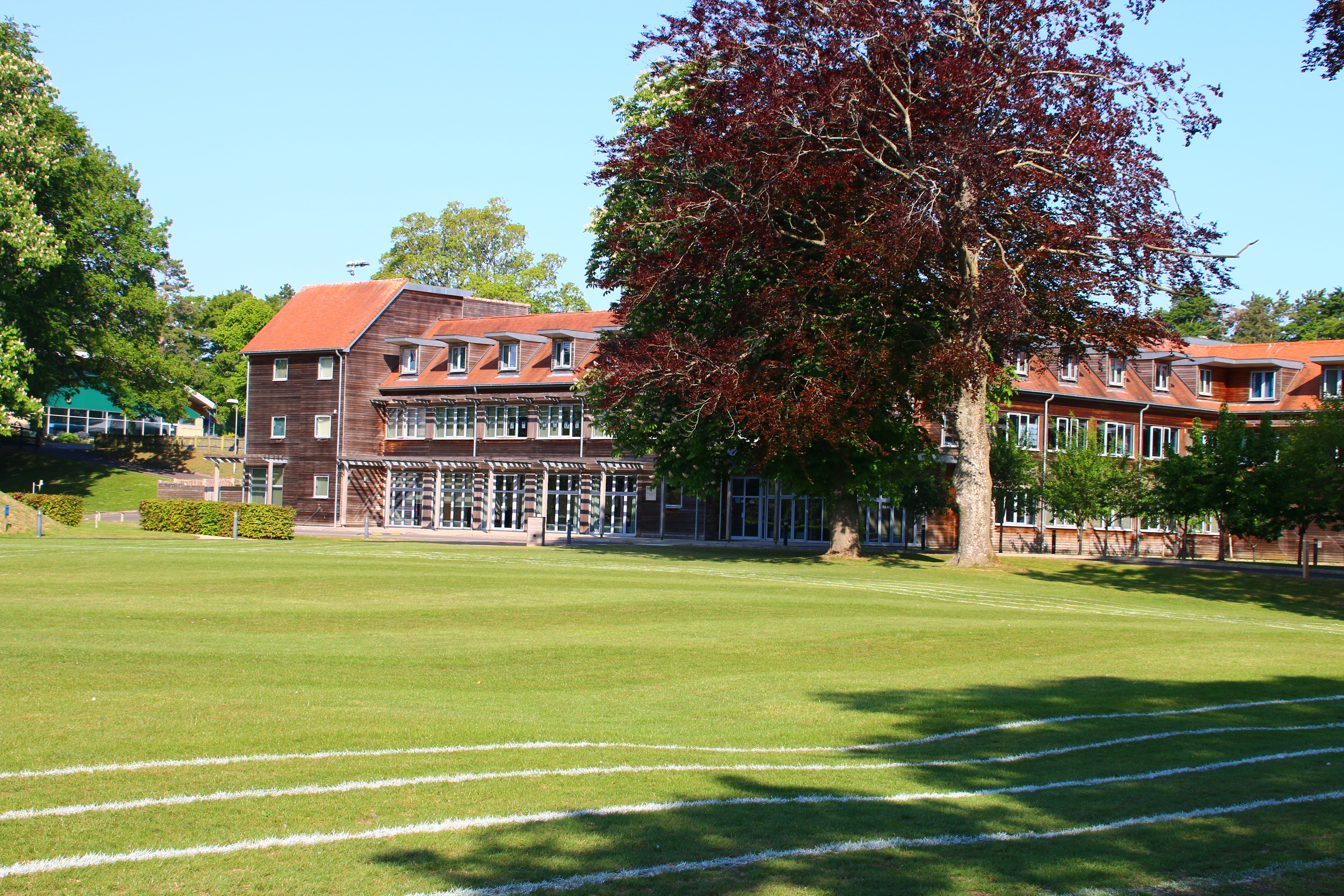 Multipurpose pitch